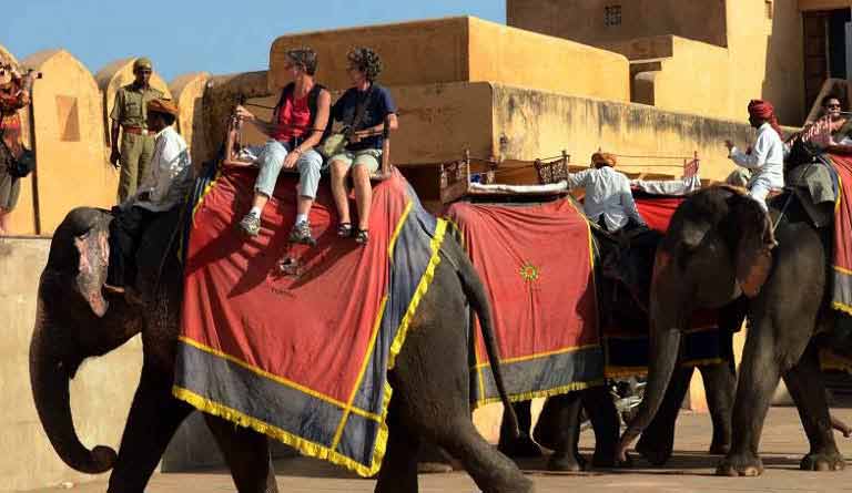 elephant safari